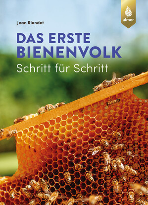 Das erste Bienenvolk  Schritt fr Schritt