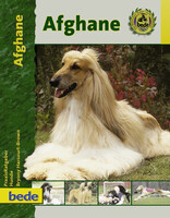 Afghane