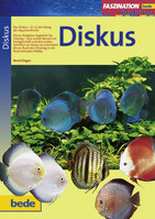 Faszination Diskus