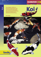 Faszination Koi