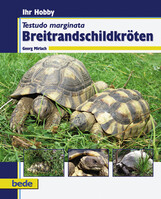Breitrandschildkrten