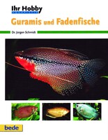 Ihr Hobby Guramis und Fadenfische