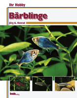 Brblinge