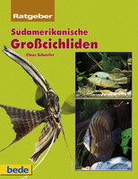 Sdamerikanische Grosscichliden