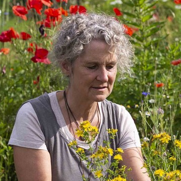 Anke Hller
